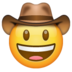 Cowboy hat face