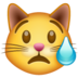 Crying cat