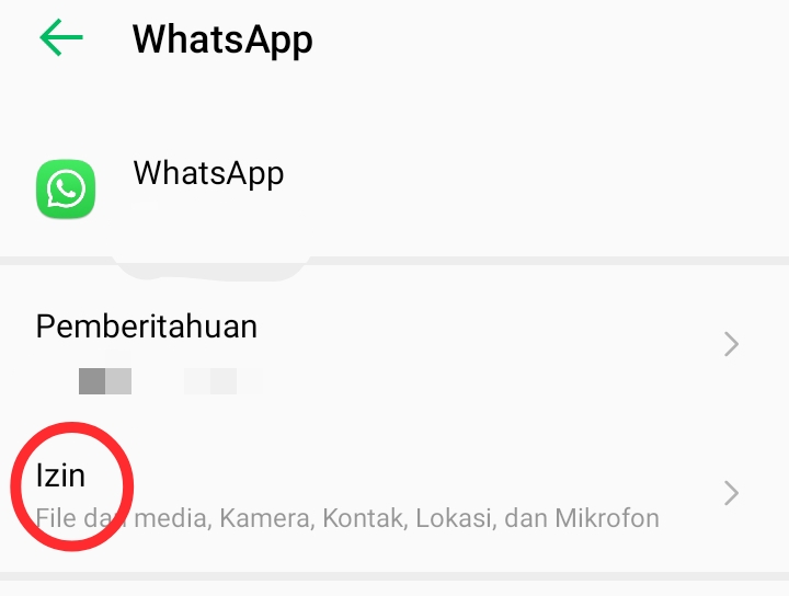Cara mengatasi pengunduhan gagal di whatsapp