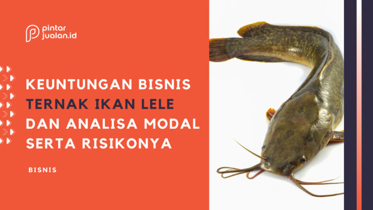 Keuntungan bisnis ternak ikan lele dan analisa modalnya 2023